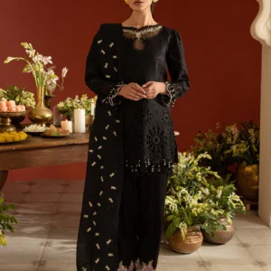 3 PC Lawn - DASTAN-E-NOOR - DSC-04