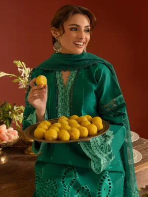 DSC-14_1_490x.progressive DSC-14