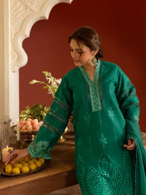 DSC-14_2_490x.progressive DSC-14